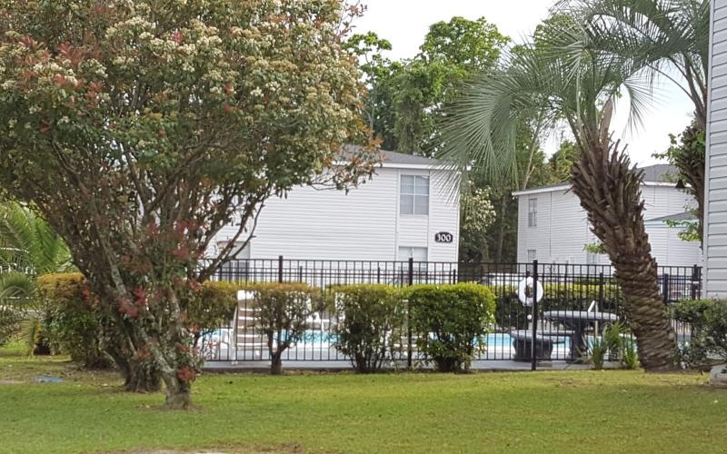 a house with trees and bushes in front of it